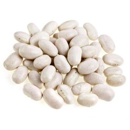 HARICOT LINGOT BLANC 10X500G